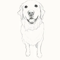 Websites, by George!